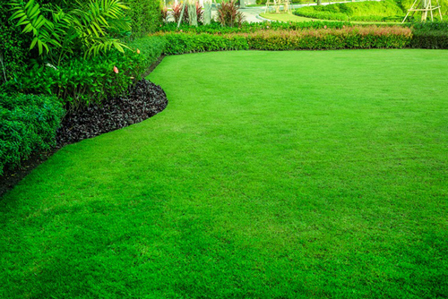 Expert Hallsville lawn treatment in TX near 75650